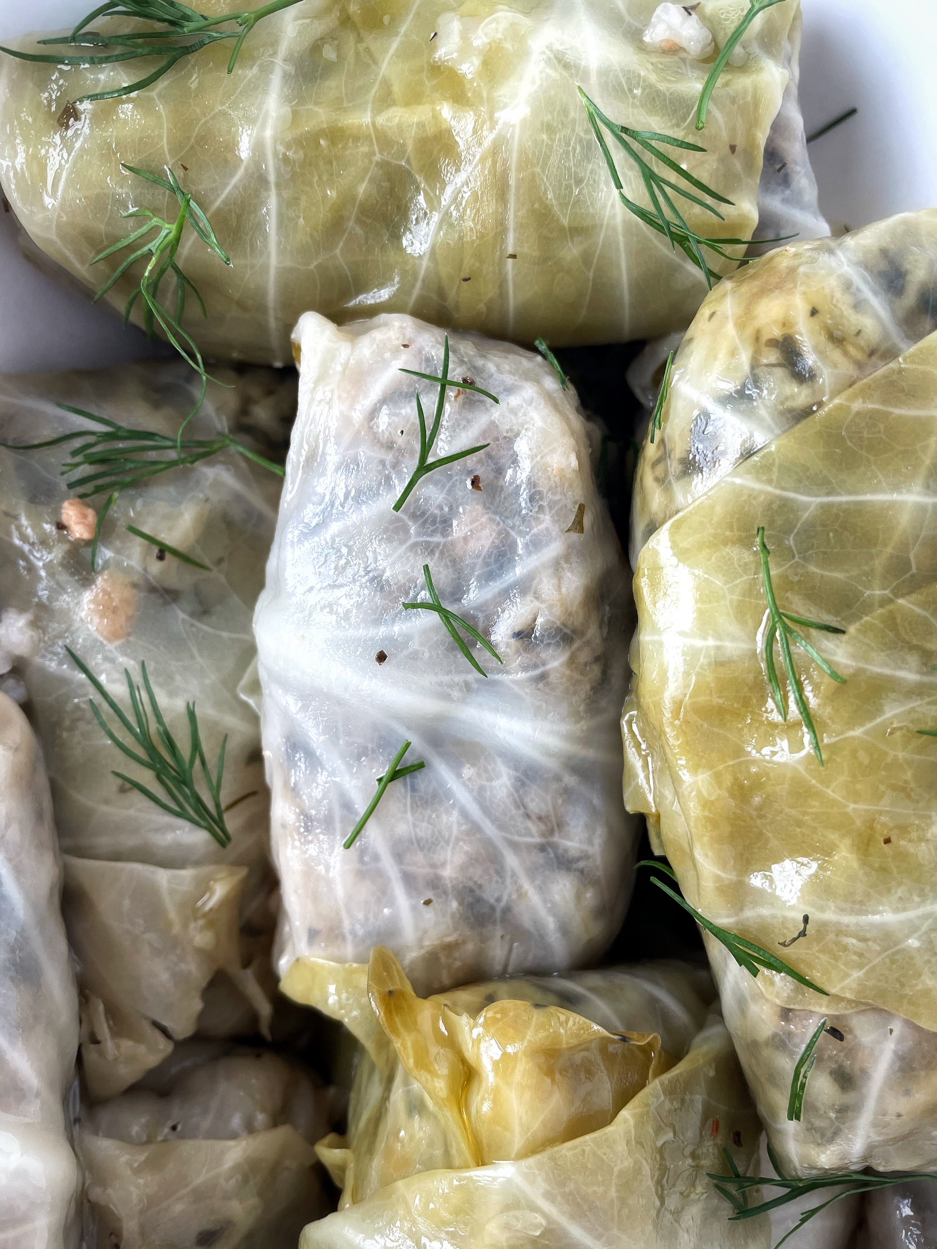greek-style stuffed cabbage rolls